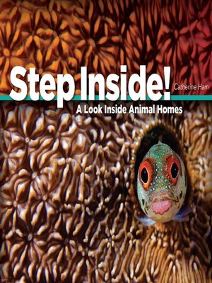 cover image of Step Inside!